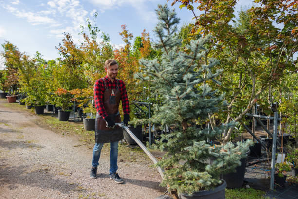 Best Weed Control  in Camp Springs, MD